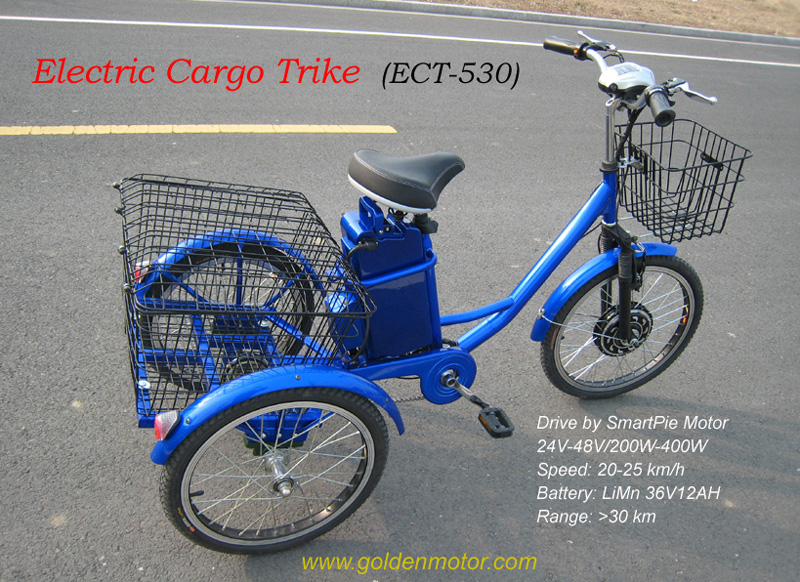three wheel bike electric motor